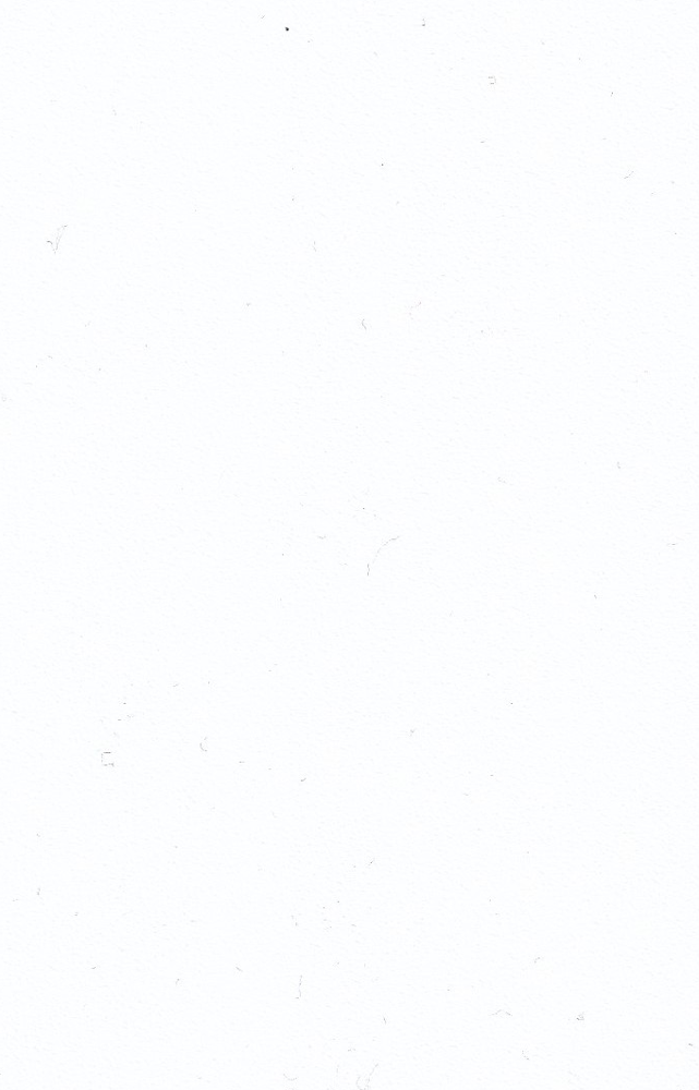 Декор №900